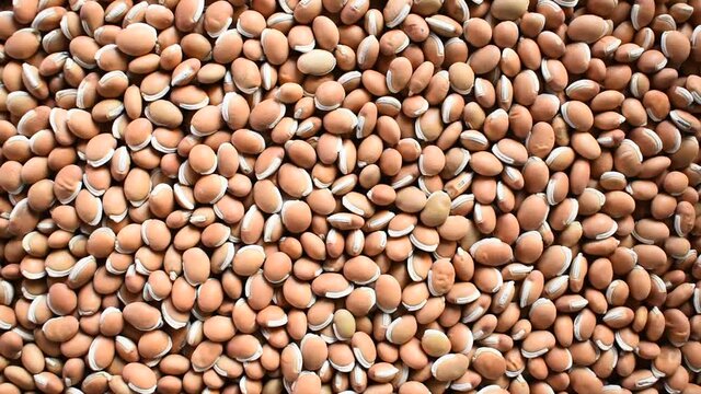 Raw whole dried brown Hyacinth beans