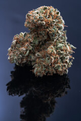 Cannabis Flower Macro - Strain: Clementine 4