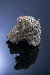 Cannabis Flower Macro - Strain: Colorado Clementine