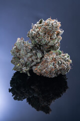 Cannabis Flower Macro - Strain: Colorado Clementine
