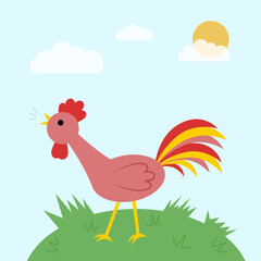 Rooster in the grass. Funny colored cartoon character crowing cock in the early morning. Vector illustration