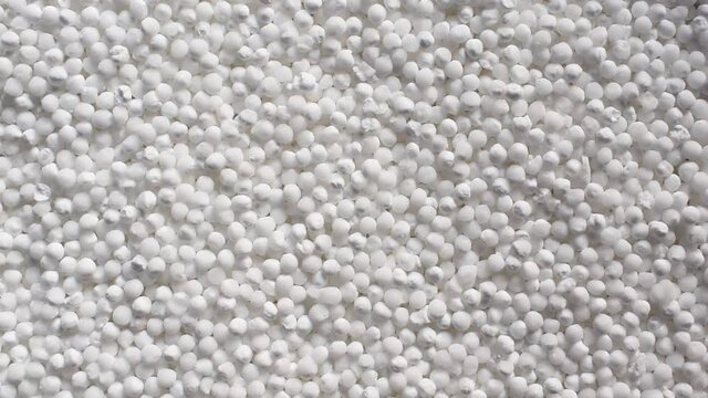 Raw whole dried tapioca pearls