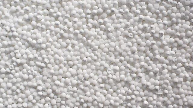 Raw whole dried tapioca pearls