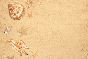 Fototapeta na wymiar Sand on the beach with a of seashells and starfish, summer background, close-up, top view. The concept of tourism, vacation, travel. Mock up for design with copy space.