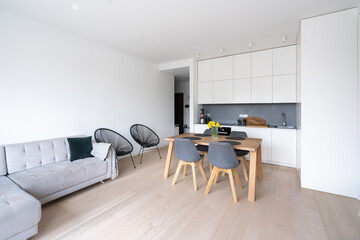 Minimalistic Style Kitchen