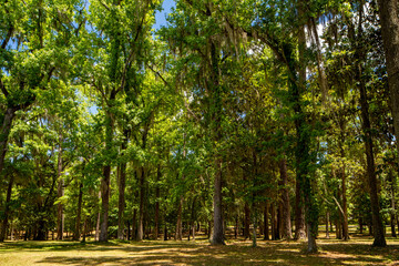 Single family house in Tallahassee Florida USA