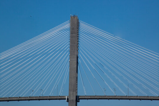 Talmadge Memorial Bridge from Savannah, GA © Allen Penton