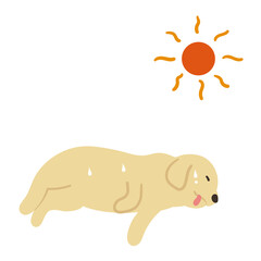 体調不良の犬と太陽　熱中症