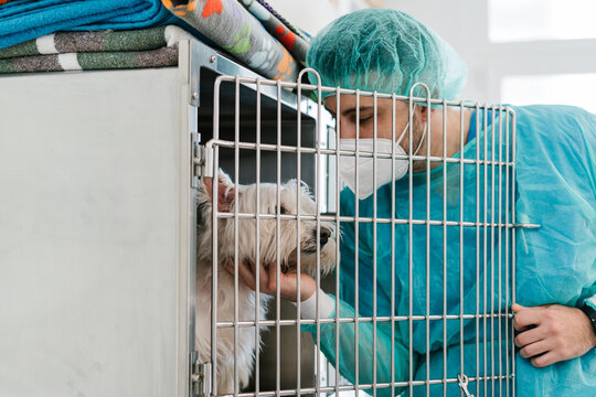 Veterinarian petting a dog in cage