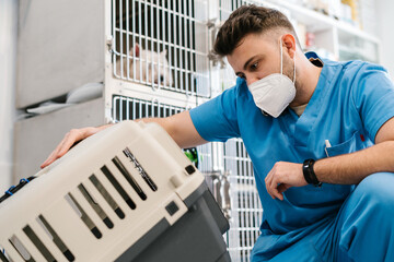Veterinarian examining the cat transport box in a veterinary cli