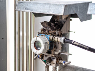 Pressure transmitter was installed in power plant.