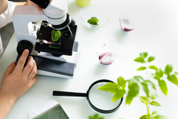 close-up microscope and plant study, increasing and studying nature