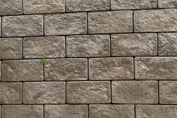 Brick texture with gray coloring.