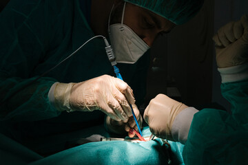 Veterinarians conducting surgery on animal