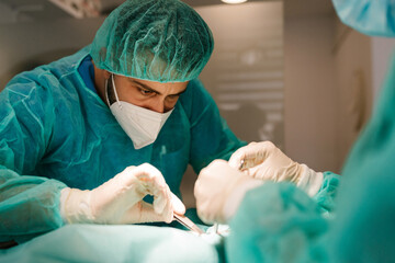 Veterinarian providing operation to pet patient