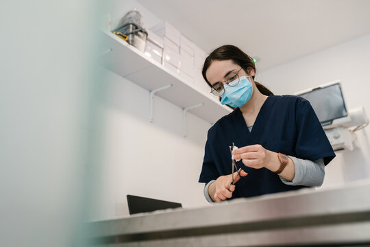 Vet doctor preparing instruments for operation