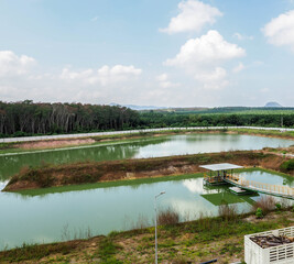 Pond and sky in Biomass power plant for keep water.
