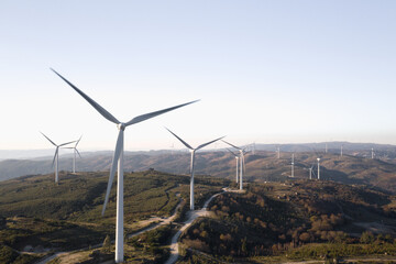 Wind Farm