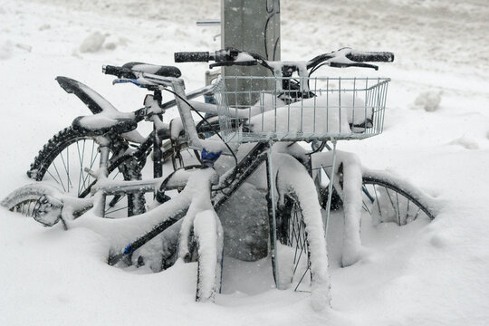 Cargobike bilder – Bläddra bland 2,308 stockfoton, vektorer och videor ...