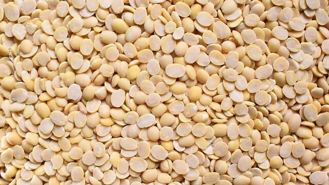 Raw split dried Hyacinth beans