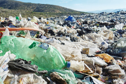 Plastic bottle at a landfill
