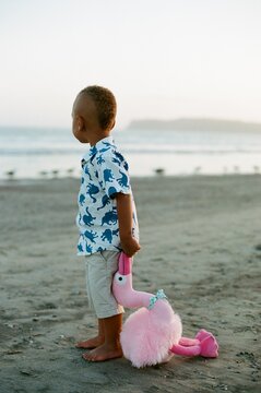 Boy with stuffed pink flamingo at beach