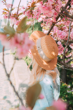 Young Girl In A Dress Stands Under Cherry Blossom Tree