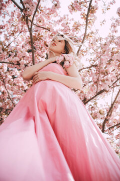 Young Girl In A Dress Stands Under Cherry Blossom Tree
