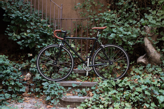 Street scene with bicycle
