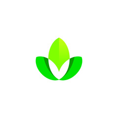 Nature Leaf logo