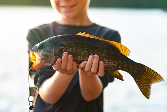 Boy in morning light presents fresh fish on fishing trip vacatio