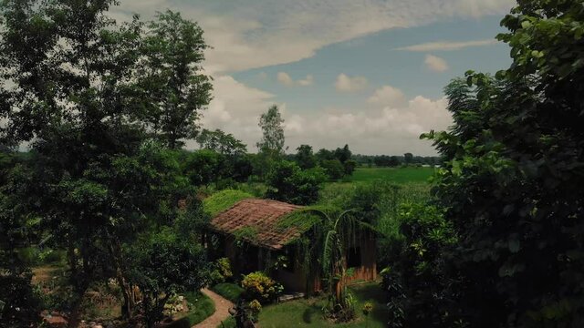 view of an ecolodge in exotic green landscape from drone