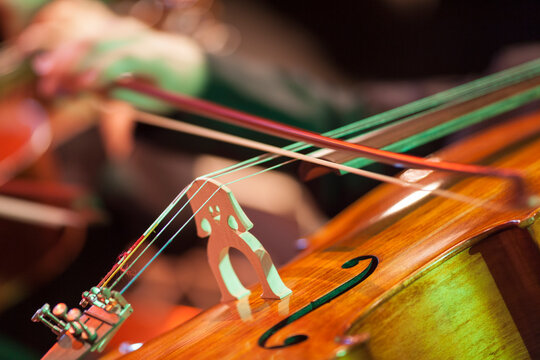 Musical instruments 