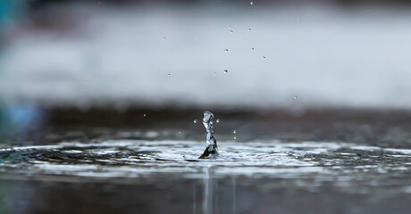 rain drops on the ground