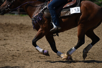 Horse and Rider