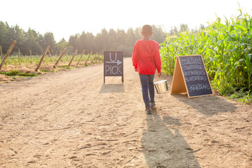 Boy walks away down a farm road. 