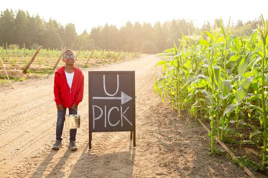 Boy with bucket stands on farm road