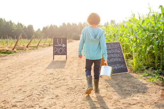 Boy with bucket near cornfield