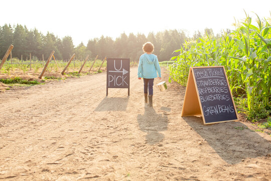Boy with bucket walks down farm road. 