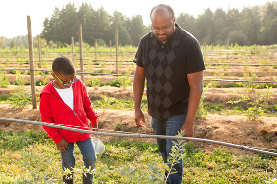 Dad and son on u-pick farm