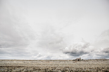 Rocky beach with dramatic cloudy skies and driftwood shelter