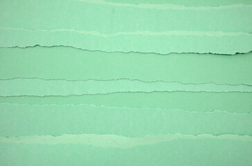 Vintage neutral torn green papers abstract texture background.