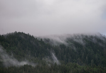 wildfire smoke and fog rising off coastal mountainside
