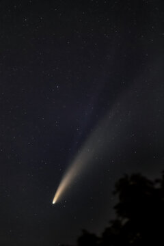 Comet NEOWISE (C/2020 F3)