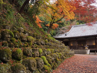 紅葉がある京都のお寺