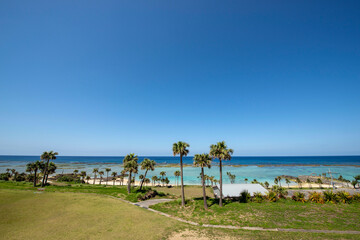 鹿児島県　徳之島の天城町与名間ビーチの椰子の木と海岸線