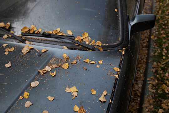 Old car with a autumn leaves on a hood