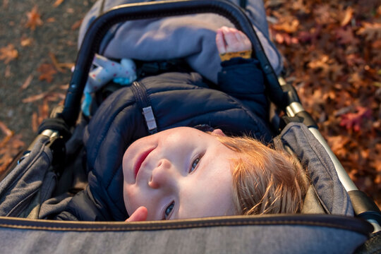 Infant boy in stroller 