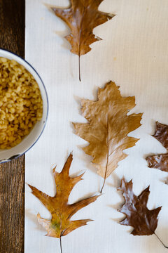 Waxed fall leaves drying on the kitchen table