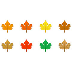 leaf icon vector sign symbol